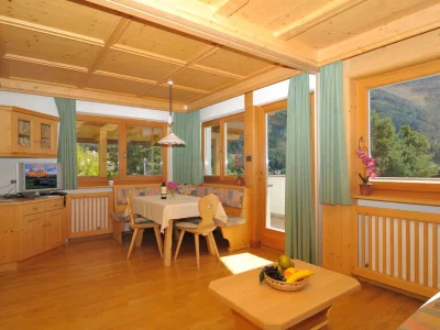 Holiday apartment Villa Nussbaumer*** - Features photo 6