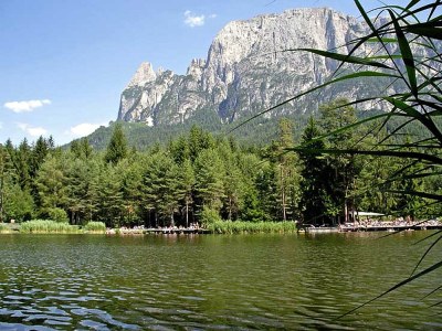 Holiday apartment Villa Nussbaumer*** - Environment photo 16