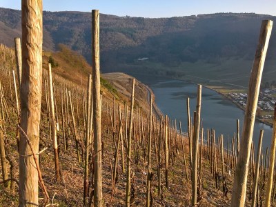 Holiday house - No title - - Environment photo 23