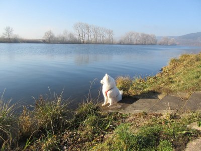 Holiday house - No title - - Environment photo 25