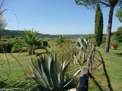 Holiday apartment Podere San Giovanni - Environment photo 12