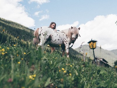 Holiday apartment Wohnung Hecht - Environment photo 24