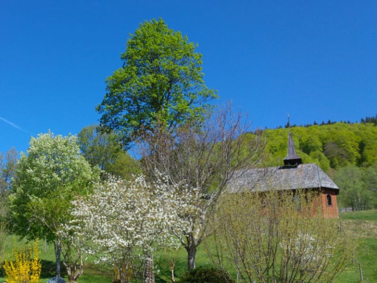 Holiday apartment Waldblick - Outdoor photo 4