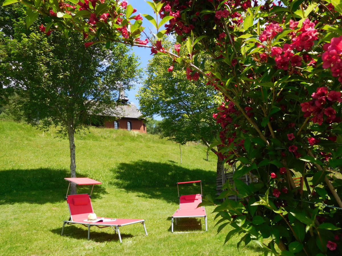 Holiday apartment Waldblick - Outdoor photo 5