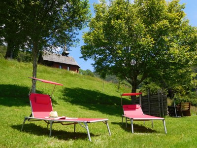 Holiday apartment Waldblick - Outdoor photo 6