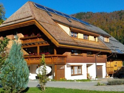 Holiday apartment Waldblick - Outdoor photo 9