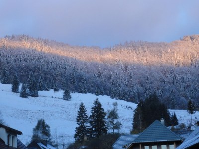 Holiday apartment Waldblick - Environment photo 18