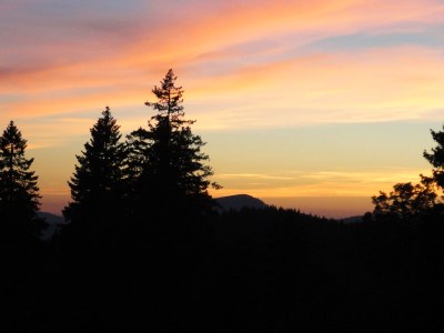 Holiday apartment Waldblick - Environment photo 19