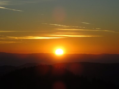 Holiday apartment Waldblick - Environment photo 20