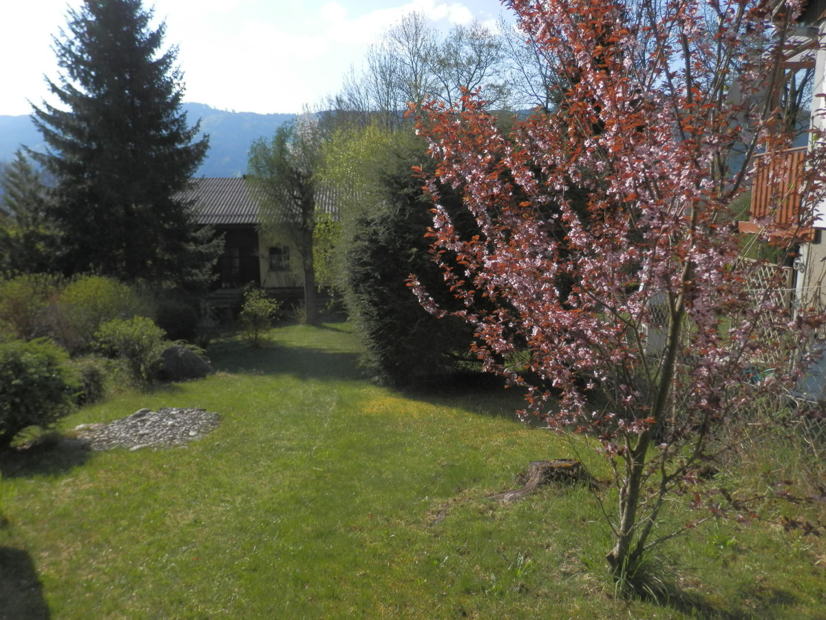 Holiday apartment Dr. Herbst 2 - Outdoor photo 4