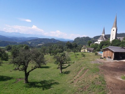 Holiday apartment Dr. Herbst 2 - Environment photo 33