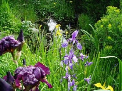 Apartment Modern Apartment, Bressanone - Environment photo 22