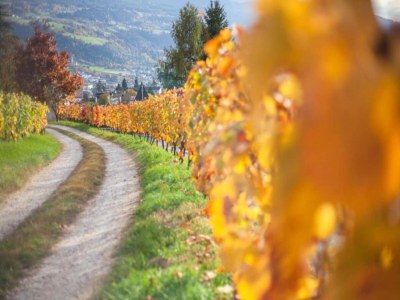 Apartment Modern Apartment, Bressanone - Environment photo 25