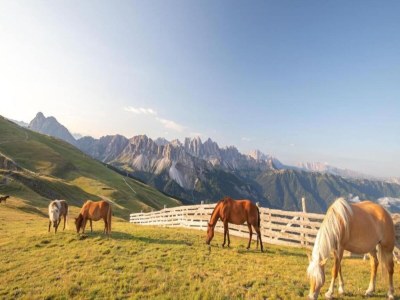 Apartment Modern Apartment, Bressanone - Environment photo 37