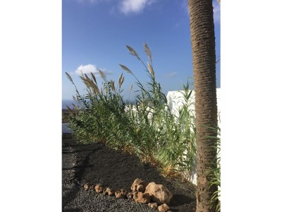 Villa Casa Ocean View - Outdoor photo 12