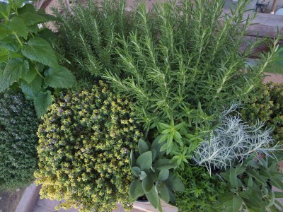 Apartment Kerschbamerhof ****Apartment Vernatsch/Gala - Outdoor photo 11