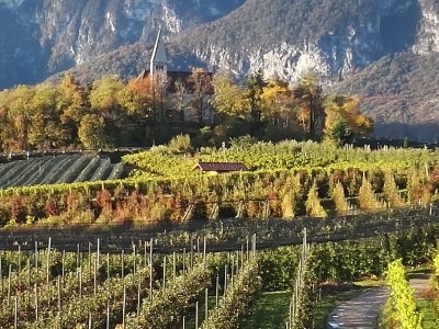 Apartment Kerschbamerhof ****Apartment Vernatsch/Gala - Outdoor photo 13