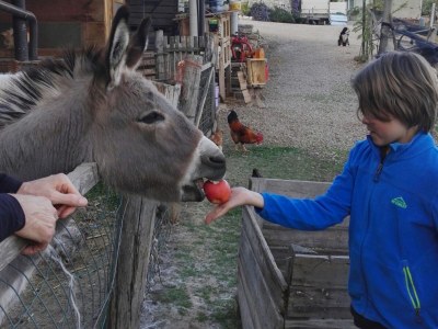 Apartment Kerschbamerhof ****Apartment Vernatsch/Gala - Outdoor photo 14