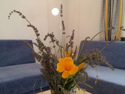 Holiday apartment Valentin - Features photo 21