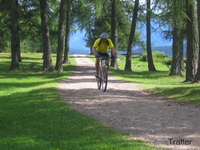 Holiday apartment Valentin - Environment photo 25