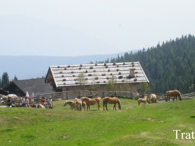 Holiday apartment Valentin - Environment photo 29