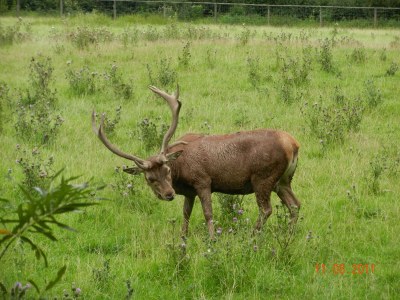 Holiday apartment 2 Hüfner - Environment photo 38
