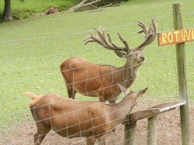 Holiday apartment 2 Hüfner - Environment photo 39