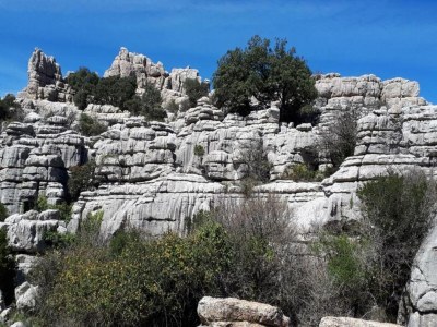 Holiday house Aufenthalt auf dem Land in Andalusien - Environment photo 20