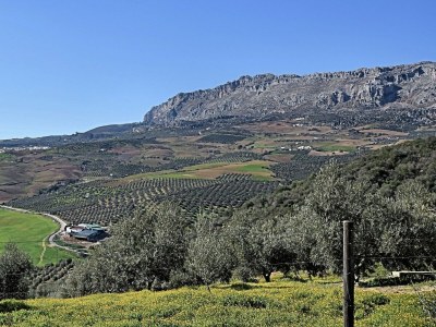 Holiday house Aufenthalt auf dem Land in Andalusien - Environment photo 21
