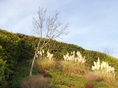 Holiday house Casa Romantica - Outdoor photo 10