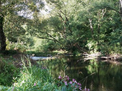 Holiday apartment Haus Bodefurt - Features photo 17