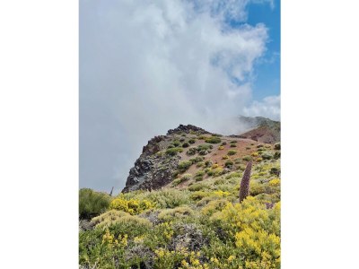 Holiday house Casa el Goce - Environment photo 33