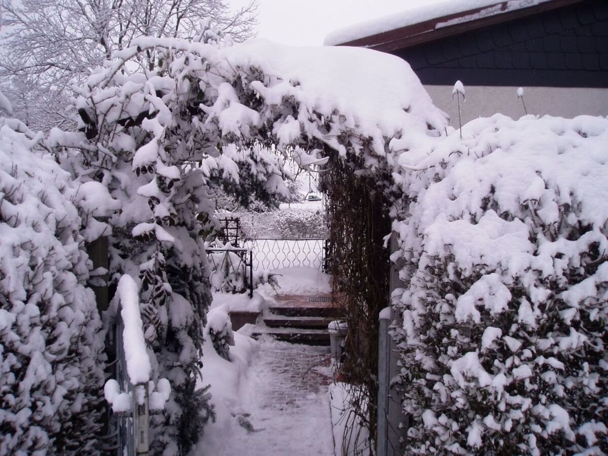 Holiday house Gartenwohnung in Hasselfelde - Outdoor photo 5