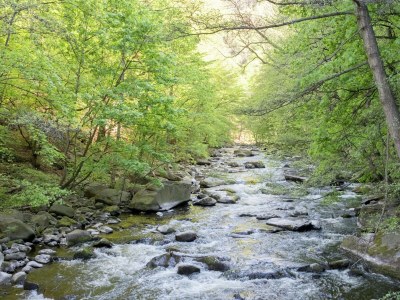 Holiday house Gartenwohnung in Hasselfelde - Environment photo 20