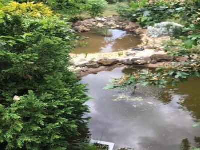 Holiday house Gartenwohnung in Hasselfelde - Environment photo 21