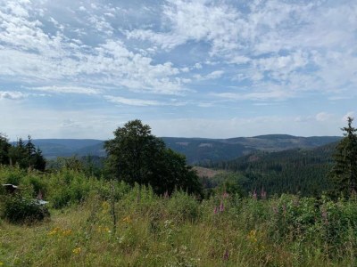 Holiday house Gartenwohnung in Hasselfelde - Environment photo 30