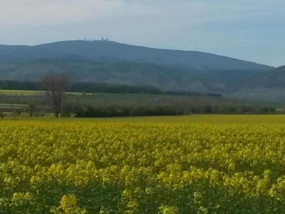 Holiday house Gartenwohnung in Hasselfelde - Environment photo 32