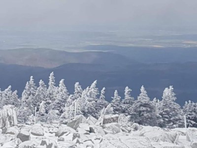 Holiday house Gartenwohnung in Hasselfelde - Environment photo 40