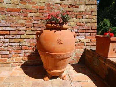 Farmhouse Bauernhaus in Montalcino mit Pool und Garten - Outdoor photo 26