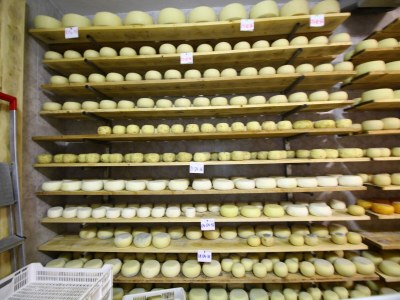 Farmhouse Bauernhaus in Montalcino mit Pool und Garten - Outdoor photo 28