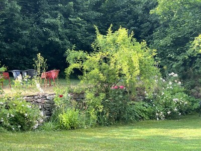 Holiday apartment Vorwerk Biensdorf - Outdoor photo 11