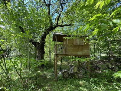 Holiday apartment Vorwerk Biensdorf - Outdoor photo 13