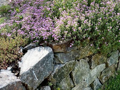 Holiday apartment Vorwerk Biensdorf - Outdoor photo 15