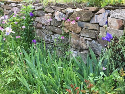 Holiday apartment Vorwerk Biensdorf - Outdoor photo 16