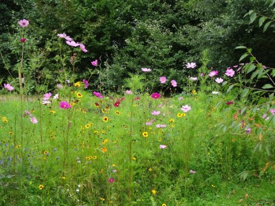 Holiday apartment Vorwerk Biensdorf - Outdoor photo 17