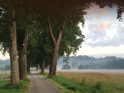 Holiday apartment Vorwerk Biensdorf - Environment photo 32