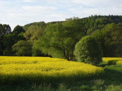 Holiday apartment Vorwerk Biensdorf - Environment photo 35
