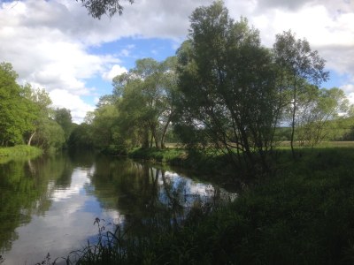 Holiday apartment Vorwerk Biensdorf - Environment photo 39