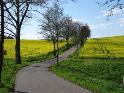 Holiday apartment Vorwerk Biensdorf - Environment photo 40