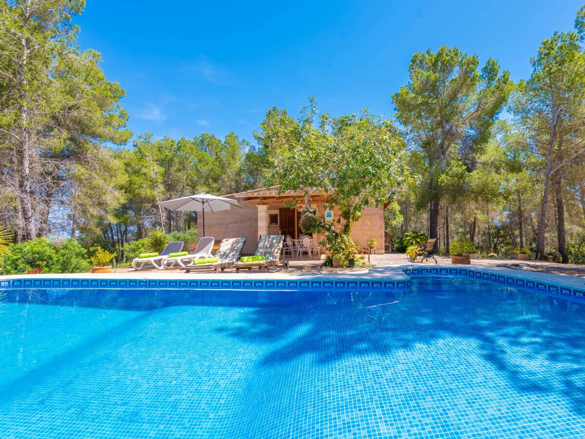 Finca Casa Mas - Features photo 3